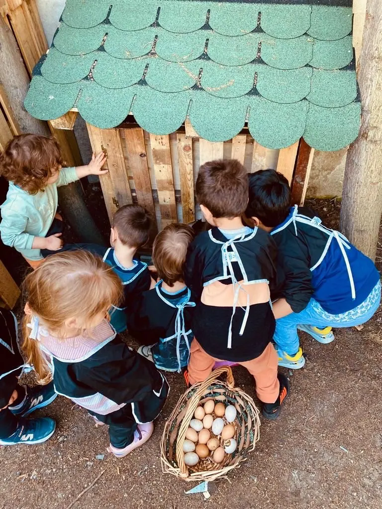 Çocukların arkadan bakarak ahşap kümesi gözlemlediği an