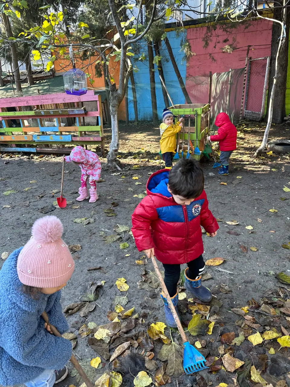 Çocukların bahçede yaprakları tırmıklarla bir araya getirdiği etkinlik